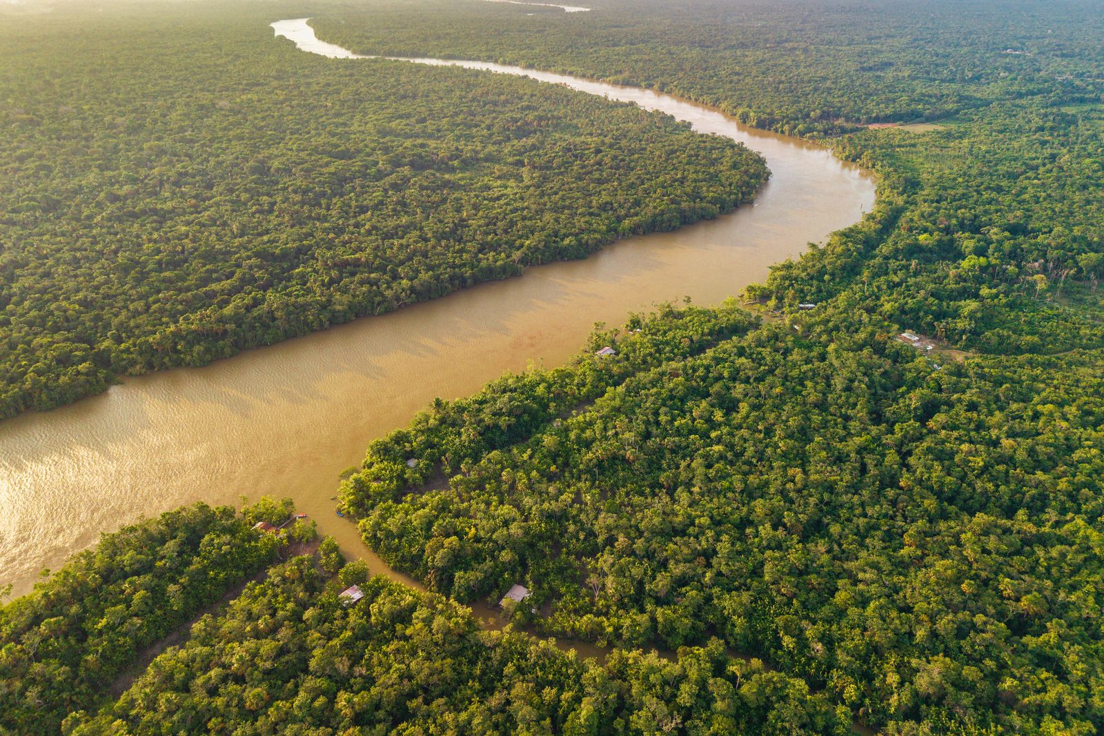 A wide brown river winding through rainforest, seen from the air in the evening sun.