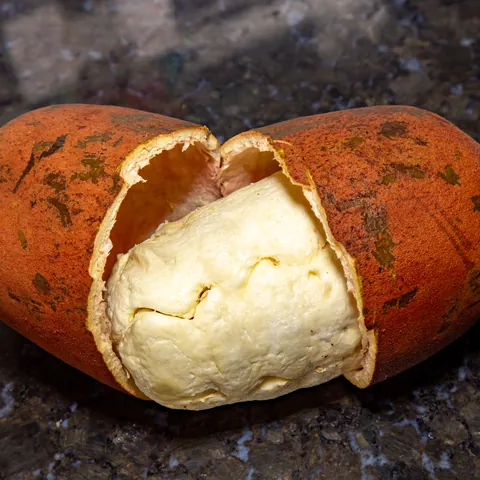 A cupuaçu pod broken open, white pulp inside