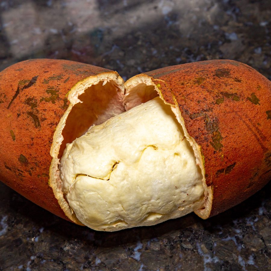 A cupuaçu pod broken open, white pulp inside